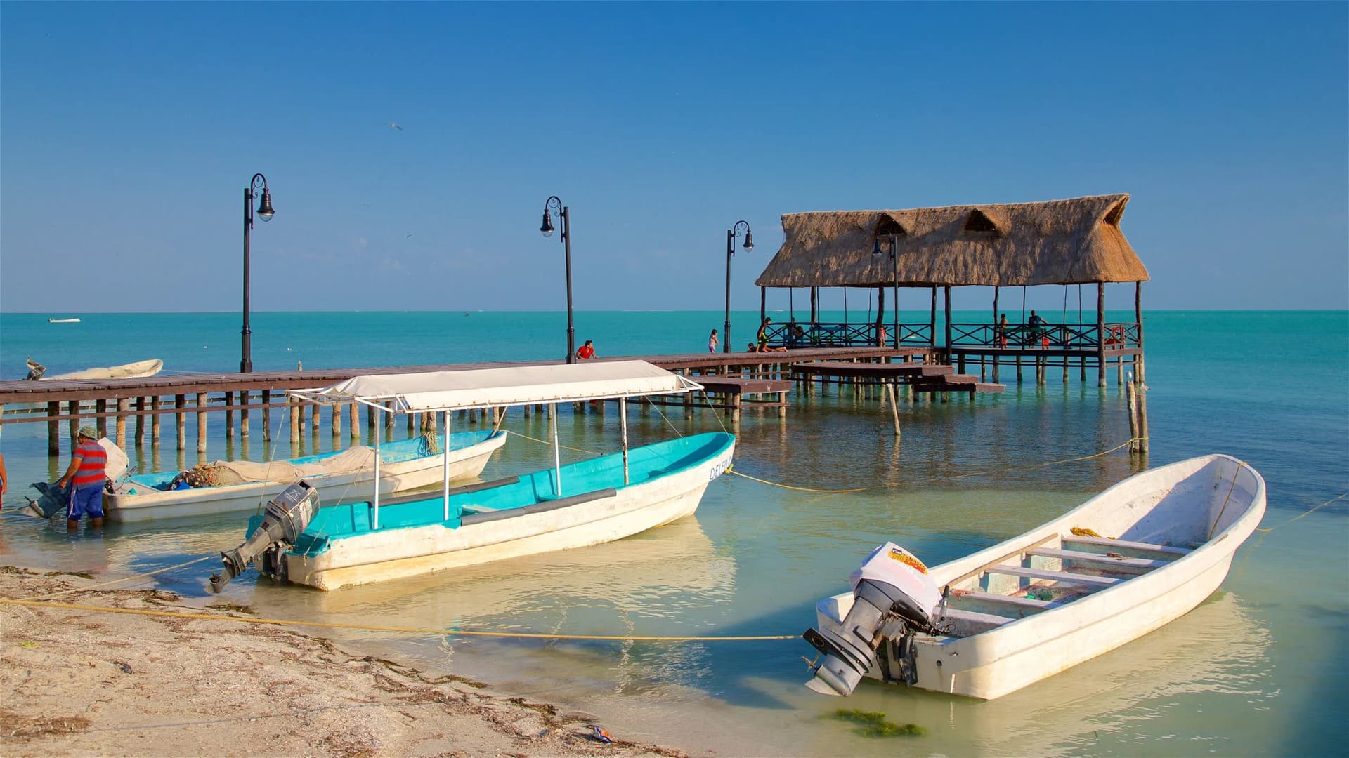 Isla Aguada en Campeche: Avistamiento de delfines y tradición pesquera en la Laguna de Términos